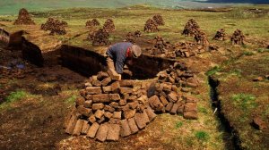 A turf-cutter in a peat bog in Ireland (Picture via giddgoatstours.ie)